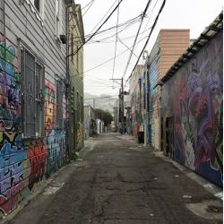 Lilac Street, Mission District, San Fransisco