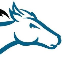 Darkhorse Lightworks, LLC