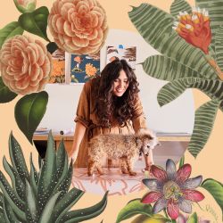 Samantha Santana Wallpaper & Creative Studio