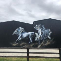Melbournes Murals