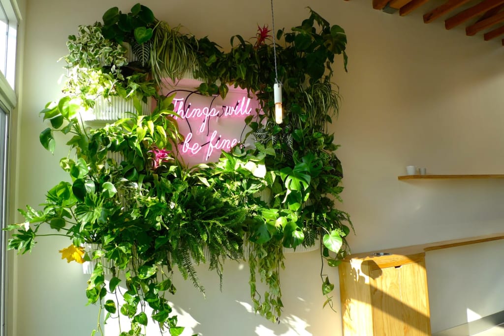 Floral Installation of hanging plants and neon light fixtures by Hello Gem at Dinosaur Coffee in Los Angeles, CA