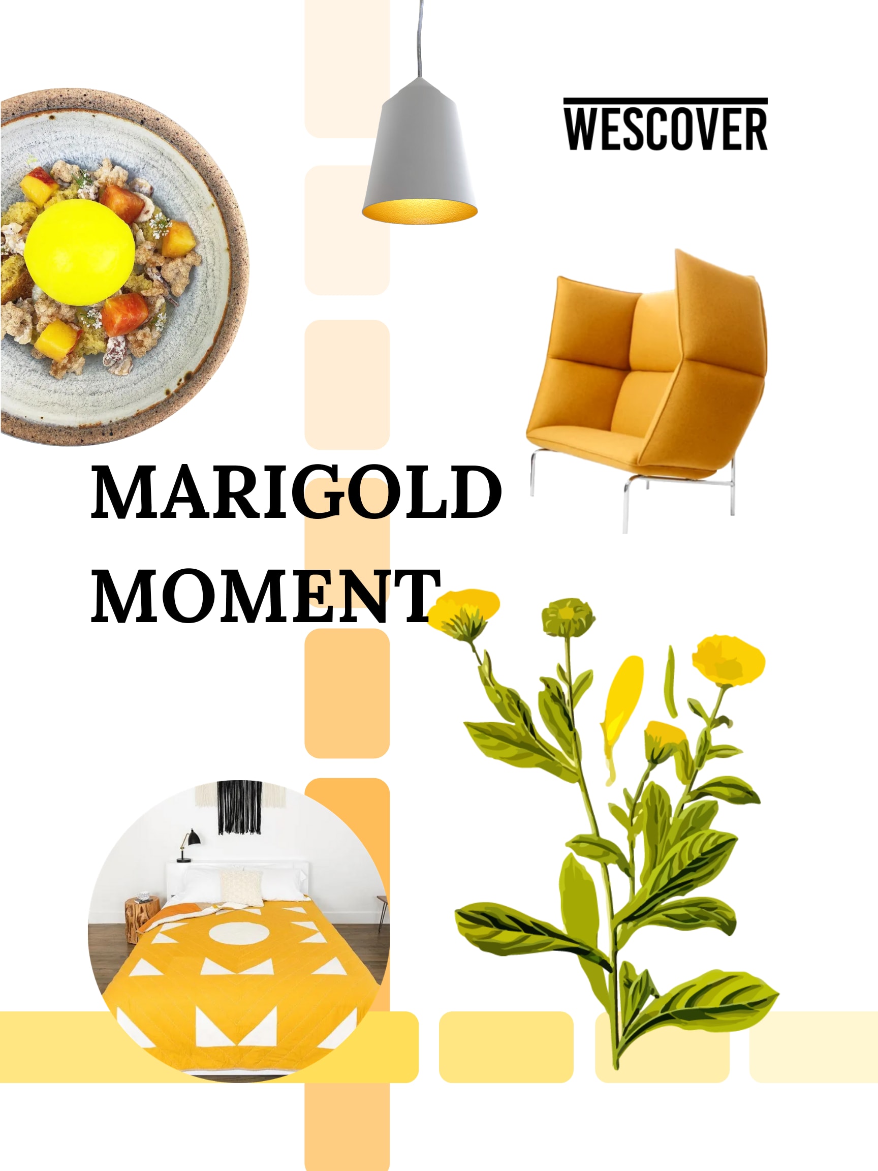 Marigold Moment