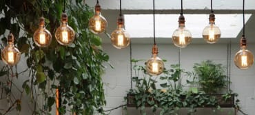 light bulbs, eco, artist, gaia bulbs, Hackney coffee company café, contemporary lighting display, coffee shop lighting