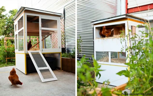 SYM Chicken Coop by Yvonne Mouser as seen in a San Francisco Private Residence