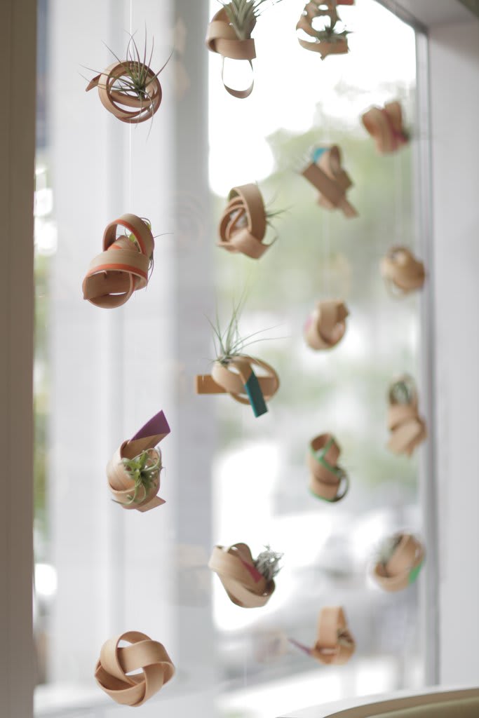Suspended Air Plant Planters by Art of Plants and Elliptic Designs