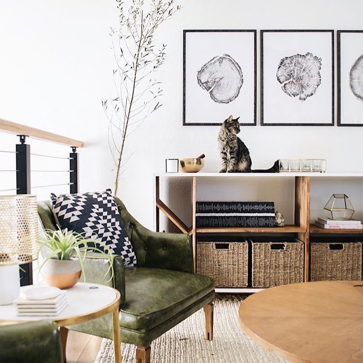 Tree Ring Prints Wall Hangings by Erik Linton. The tree ring prints by Erik Linton looks stunning for this cozy living room designed by Nest Out West in Denver.