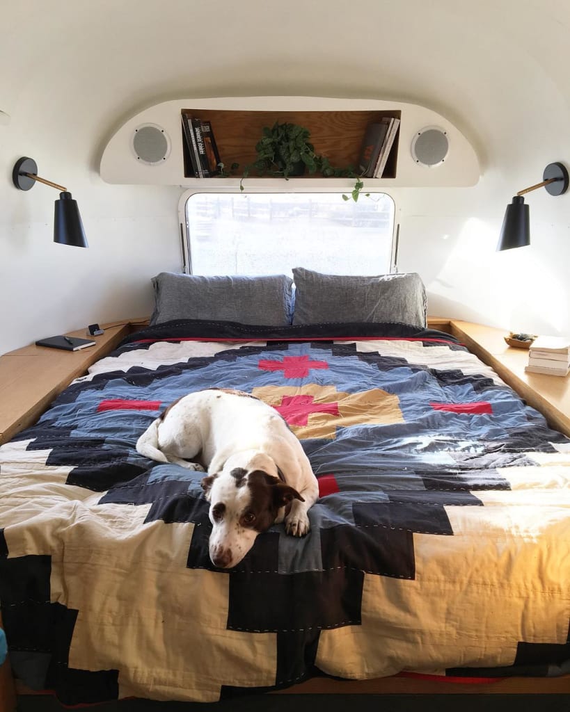 One of Laura's dogs sitting on top of her quilt at the back of her Airstream trailer.