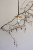 Wall Flower Arrangement | Floral Arrangements by The Petaler | Octavia in San Francisco