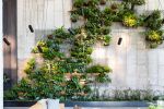 Living Wall | Plants & Flowers by Harrison Green | 1 Hotel Brooklyn Bridge in Brooklyn