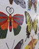 Mosaic Butterflies | Public Mosaics by Josie Lewis Art