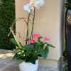 Spring Flower Arrangements | Floral Arrangements by Fleurina Designs