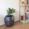 “Poligon Black Vase | Planter in Vases & Vessels by Studio Lorier. Item made of ceramic