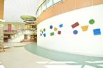 Art Curation | Art Curation by NINE dot ARTS | Rocky Mountain Hospital for Children in Denver