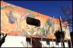 Noe Valley Mural- East Wall | Murals by Mona Caron