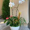 Spring Flower Arrangements | Floral Arrangements by Fleurina Designs