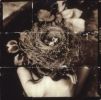Deep Breath | Mixed Media by Pam Moxley Mixed Media