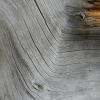 Fallen Tree | Photography by John Boak | The Westin Denver International Airport in Denver