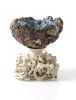 Offering | Sculptures by Catharina Goldnau Ceramics. Item composed of ceramic