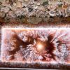 Organic Style Wall | Wall Sculpture in Wall Hangings by Christa Wilm | The Bellevue House in Newport. Item made of glass