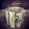 Adenium Obesum | Vase in Vases & Vessels by COM WORK STUDIO | Tula Plants & Design in Brooklyn. Item composed of ceramic