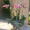 Flower Arrangement | Floral Arrangements by Fleurina Designs. Item made of synthetic