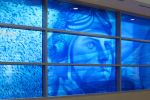 Blueprint of Flight | Art & Wall Decor by Martin Donlin | Dallas Love Field Airport, The New Terminal 2 in Dallas