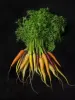 Unprocessed: A Closer Look at Real Food | Photography by Paulette Phlipot | Gretchen's in Sun Valley
