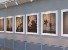 Everywhere All at Once | Art & Wall Decor by Vanessa Marsh | San Francisco International Airport in San Francisco