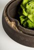 Ecco Freddo | Plate in Dinnerware by Pierre-Emmanuel Vandeputte. Item made of ceramic