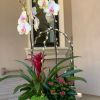 Spring Flower Arrangements | Floral Arrangements by Fleurina Designs