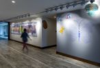 Art Curation | Art Curation by NINE dot ARTS | Embassy Suites by Hilton Boulder in Boulder