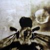 Bee | Mixed Media by Pam Moxley Mixed Media