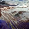 Water Leaf and Grand Gulch | Photography by John Boak | CoBank in Greenwood Village