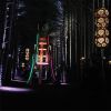 Lanterns | Lighting Design by Curious Customs | Electric Forest in Rothbury. Item made of metal & glass
