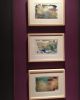 Watercolor Trio | Watercolor Painting in Paintings by Julie Shunick Brown. Item composed of synthetic