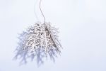 Abstraction | Pendants by Perhacs Studio