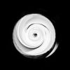 Spin ‘Me Round Black + White | Photography by Joanie Landau