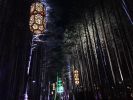 Lanterns | Lighting Design by Curious Customs | Electric Forest in Rothbury. Item made of metal & glass