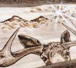 Moose | Wall Sculpture in Wall Hangings by Bisa Lisa Studio | MeeT on Main in Vancouver. Item made of wood