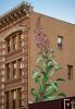 Fireweed | Murals by Mona Caron | The Postal Building in Portland