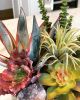 Succulents with Amethyst | Floral Arrangements by Fleurina Designs