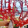 Red Coral and Shell Chandelier with. Brass Bells | Chandeliers by Christa Wilm. Item composed of brass