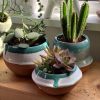 Vases | Vases & Vessels by ZUNICO Designs
