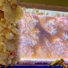 Organic Style Wall | Wall Sculpture in Wall Hangings by Christa Wilm | The Bellevue House in Newport. Item made of glass