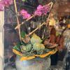 Vibrant Orchid Arrangement | Floral Arrangements by Fleurina Designs | LUNA Mexican Kitchen - The Alameda in San Jose