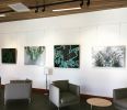 Reflective Nature | Oil And Acrylic Painting in Paintings by Cara Enteles Studio | Boulder JCC (Boulder Jewish Community Center) in Boulder. Item made of synthetic