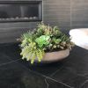 Succulent Arrangement | Floral Arrangements by Fleurina Designs