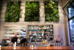 Living Wall | Plants & Landscape by Flora Grubb Gardens | Maven in San Francisco