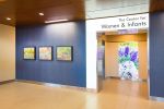 Art Curation | Art Curation by NINE dot ARTS | Saint Joseph Hospital in Denver