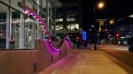 Sidewalk Harp | Sculptures by Jen Lewin | Be The Match in Minneapolis